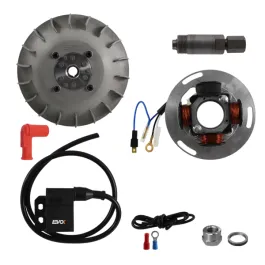 Kit accensione elettronica EVOK PIAGGIO VESPA PX/PE/T5 anticipo variabile