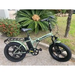 E-bike FAT 20" in Allumino Verde con Forcella Ammortizzata, Freni a Disco Idraulici e Batteria 48V 13Ah - FLYWHEEL