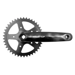 Guarnitura 42 Denti BICICLETTA OLANDA SPORT con Pedivella 170mm PERNO QUADRO