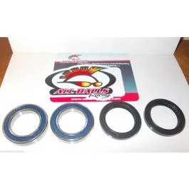 cuscinetti ruota ant. beta ktm enduro