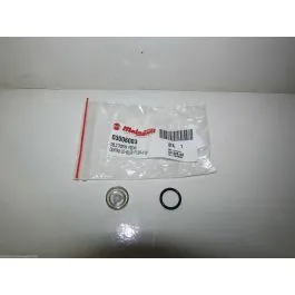 vetro spia liv.olio pompa freno centro 160