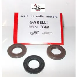 SERIE PARAOLI MOTORE GARELLI EUREKA TEAM GARY KATIA