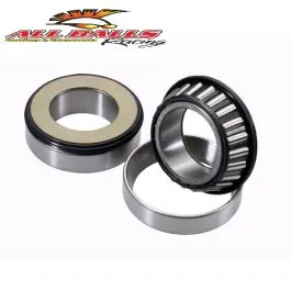 Kit cuscinetti sterzo + parapolvere Kawasaki All Balls