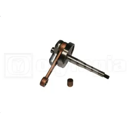 albero motore si spinotto 10