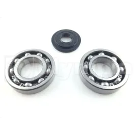 cuscinetti e paraoli sh 150 albero motore