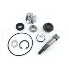 Kit revisione girante pompa acqua Honda SH 300 dal 2007 al 2016