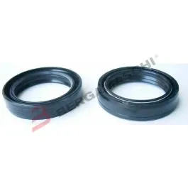 KIT PARAOLI FORCELLE 2 PEZZI 41X54X11 DOPPIA MOLLA TOUR MAX V839200136