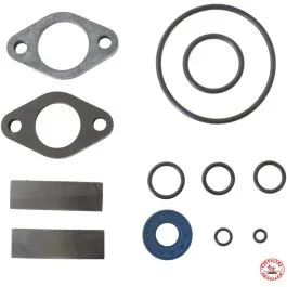 serie paraoli motore ducati scrambler 250 350