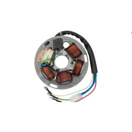 Statore Completo Originale Piaggio Ape 50 Fl Fl2 Europa Vespa Pk 125