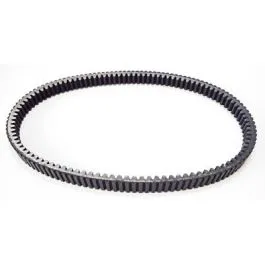 cinghia beverly scarabeo carnaby