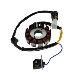 Statore magnete a 12 poli KYMCO People 125 150 200 MALAGUTI Ciak 125 200