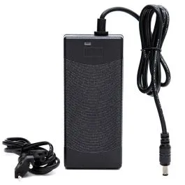 Caricabatterie bici ebike 36 V (uscita 42 V) 1 PIN 2 A CC 5 mm (DC 5,5X2,1 MM)