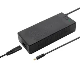 Caricabatterie bici elettrica e-bike 48V-54,6V 2.0 a litio 1 PIN