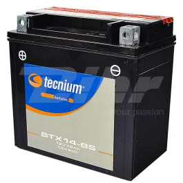 Batteria YTX14-BS 12v 12ah SR Max Scarabeo Dorsoduro Nexus Shadow Beverly