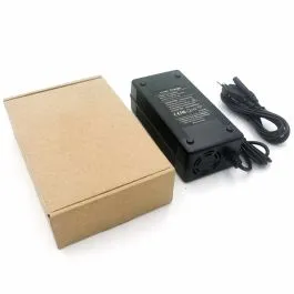 Caricabatterie premium 36-42V 3AH LITIO xiaomi scooter elettrico monopattino