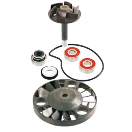 Kit revisione pompa acqua - h2o per Piaggio Gilera Malaguti o.r. 841333