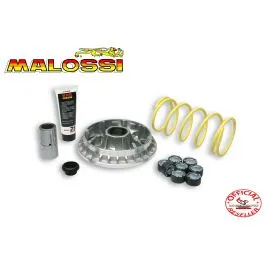 variatore malossi 5114258
