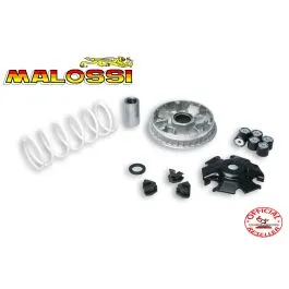 variatore malossi 5114266