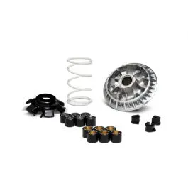 Variatore multivar 2000 j dink downtown dt x360 nikita people Malossi 5119314