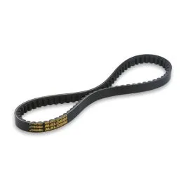 Cinghia x k belt per agility people ciak like Malossi 6116665