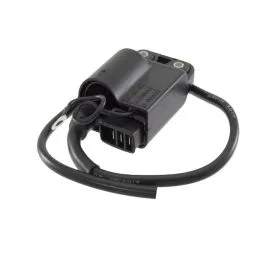 Centralina elettronica vespa 50 pk -xl 214417