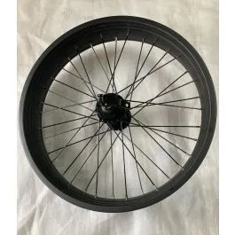 Ruota a raggi bici 20X4 FAT anteriore con sgancio rapido e attacco freno a disco