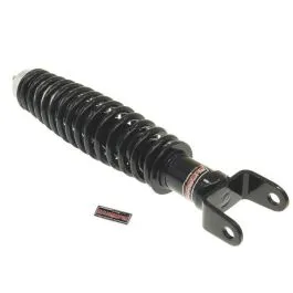 ammortizzatore px posteriore completo