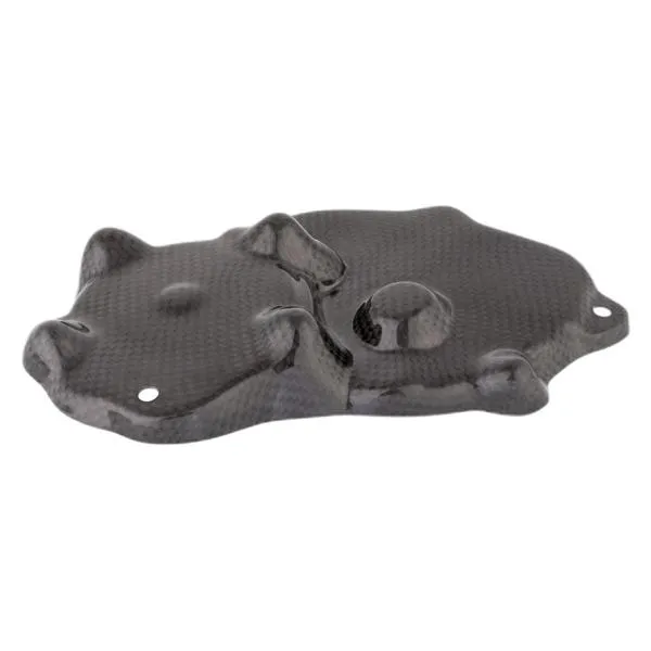 Coperchio Pick Up Lightech carbonio Kawasaki ZX636 2009-2021