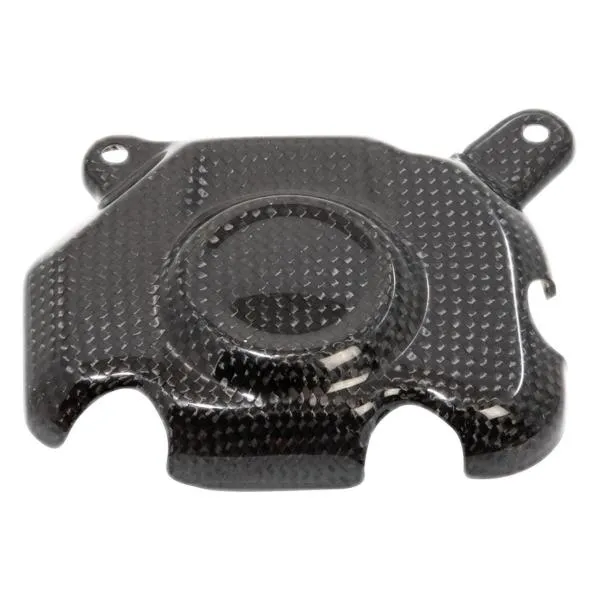 Coperchio Pick Up Lightech carbonio Kawasaki Z800 2013-2016