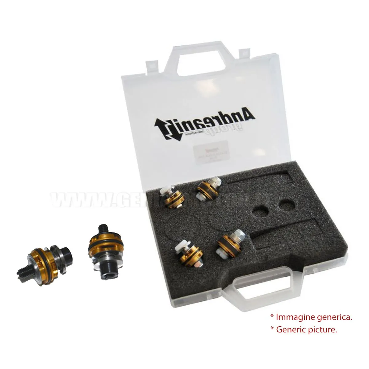 Andreani Pistoni Pompanti Compressione + Estensione Aprilia Rs 250 1998 > 2002-409/A04-98460