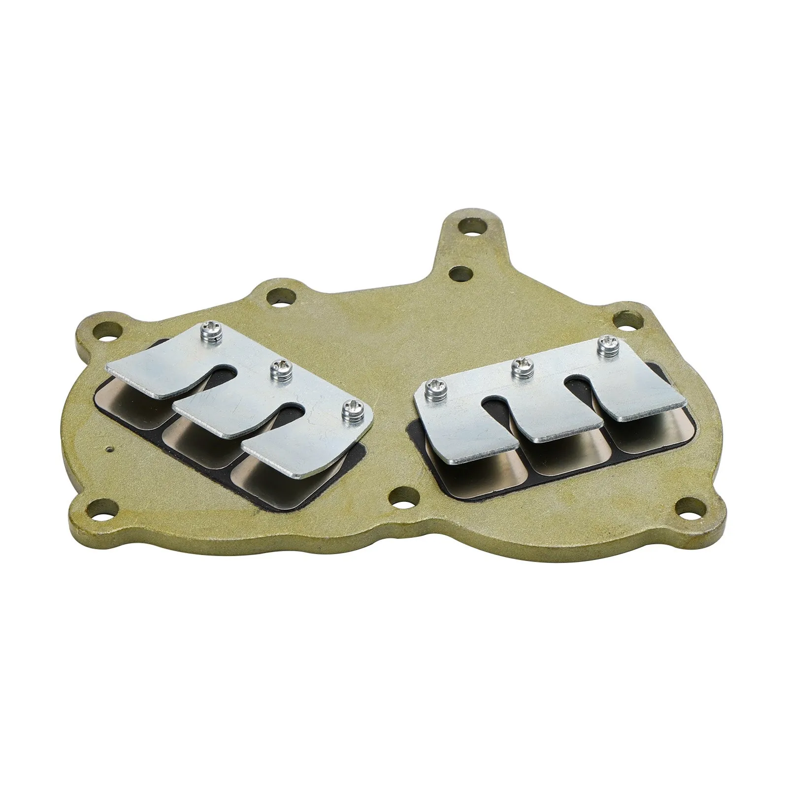 362-02100-1 Valve Reed Assy Pour Hors-Bord Tohatsu NS9.9 NS15 NS18 M9.9 M15 M18