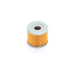 ATHENA FFC003 OIL FILTER WITH INTERNAL CARTRIDGE / FILTRO OLIO