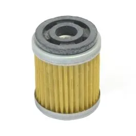 ATHENA FFC006 OIL FILTER WITH INTERNAL CARTRIDGE / FILTRO OLIO