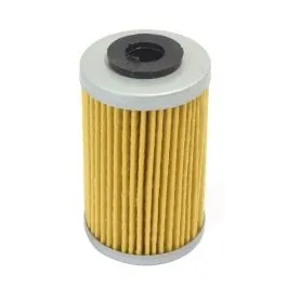 ATHENA FFC030 OIL FILTER WITH INTERNAL CARTRIDGE / FILTRO OLIO