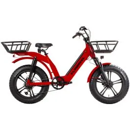 Bici Cargo Elettrica FAT 20" in Alluminio con Alta Capacità di Carico - Freni a Disco Idraulici, Full Ammortizzata, Batteria Integrata 48V - Colore Rosso