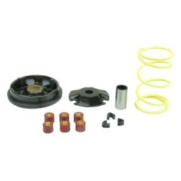 ATHENA P400480110001 SPEEDMANTIC VARIATOR KIT / KIT VARIATORE
