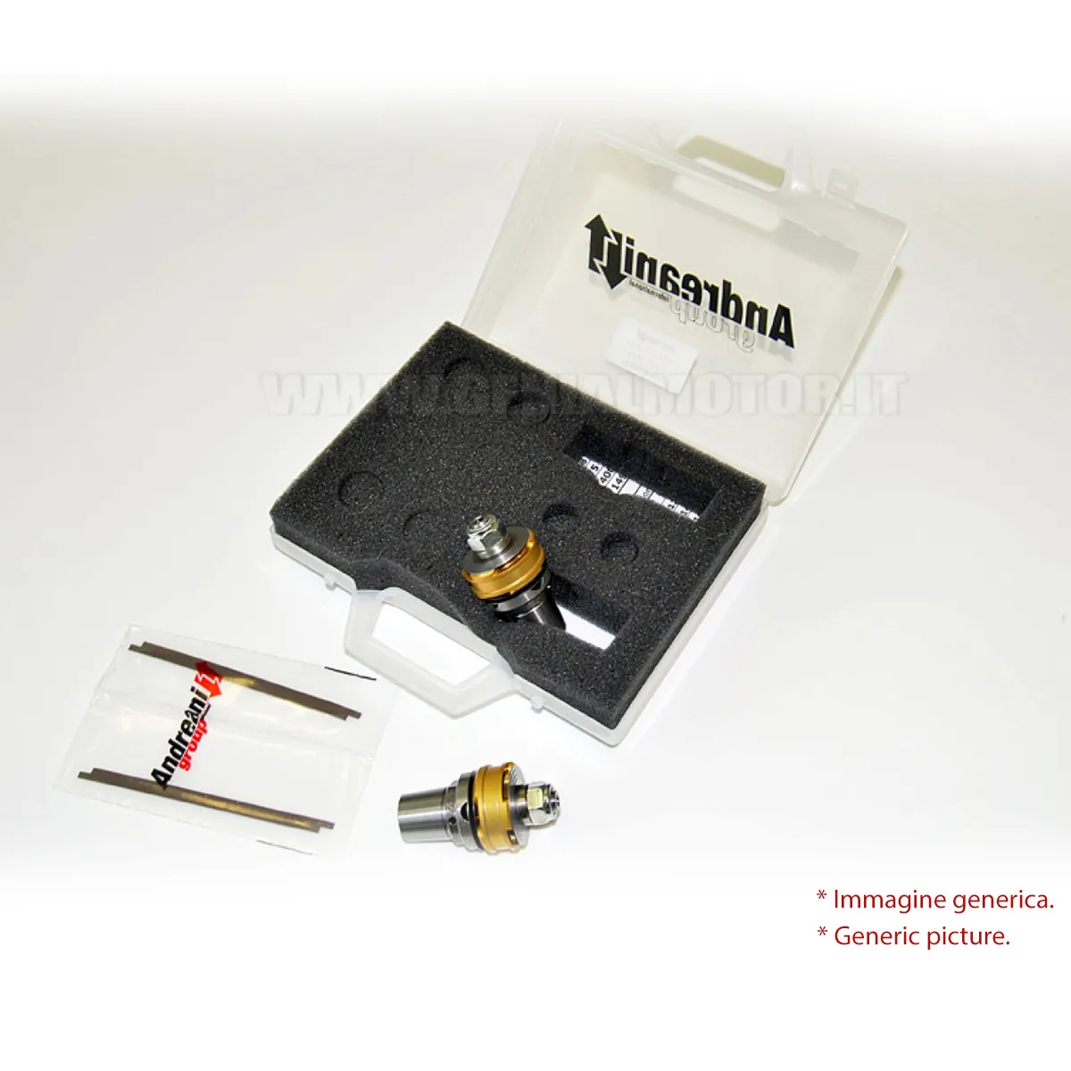 Andreani Pistoni Pompanti Forcella A Funghetto Husqvarna Nuda 900 R 2012 > 2015-409/HQ1-98569