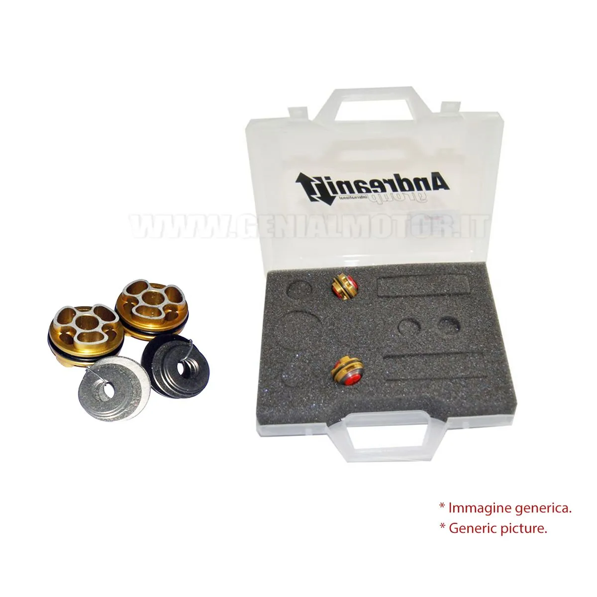 Andreani Kit Pistoni Pompanti Estensione Per Ducati 1199 Panigale 2012 > 2013-409/D04-98505