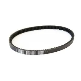 ATHENA S41PLAT079 PLATINUM TRANSMISSION BELT / CINGHIA TRASMISSIONE