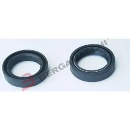 Coppia paraoli forcella 35 x 48 x 11 doppia molla Tour Max